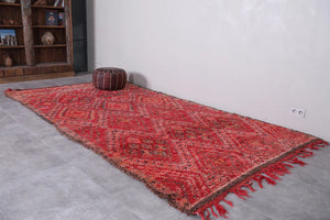 Moroccan Rugs Of the atlas