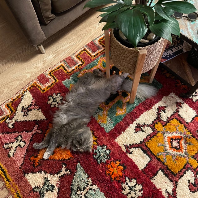 Beni Ourain Rugs - A Guide to Buying Moroccan Rugs