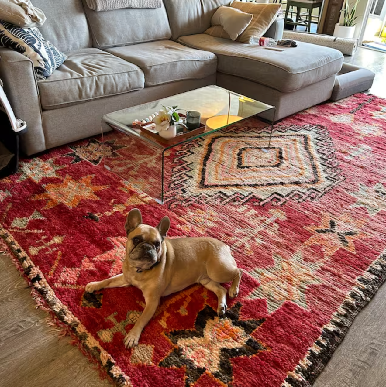 Berber Rugs in Pop Culture: Influences in Fashion and Art ...