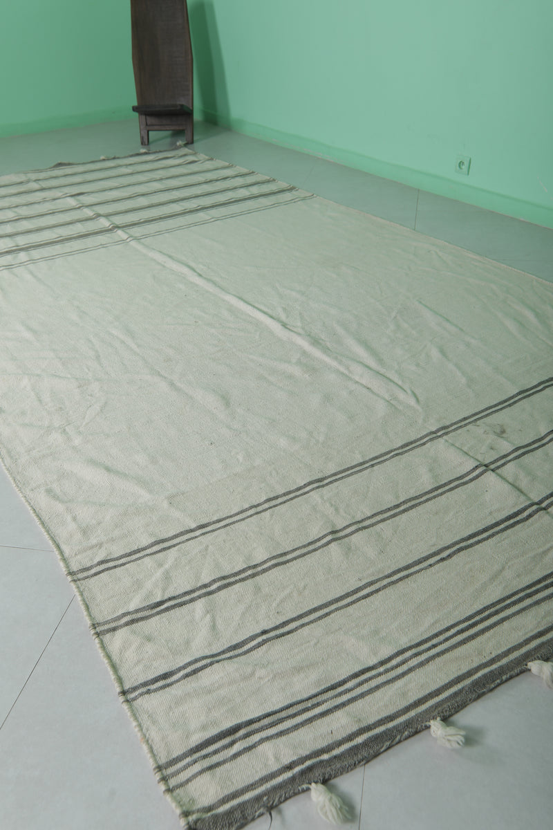 Moroccan Rug - Striped Handwoven Wool 6.5 x 12.9 ft | Neutral Toned Carpet