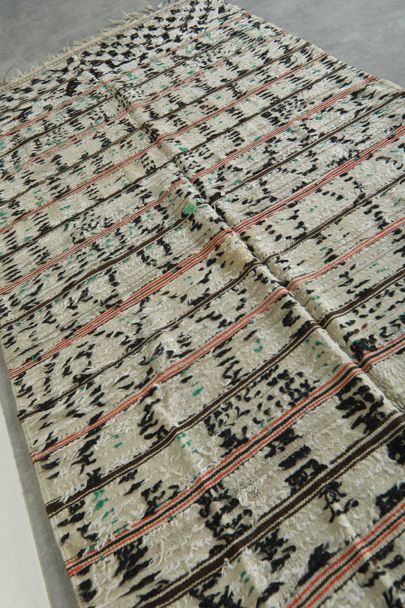 Flatwoven Moroccan tribal rug - Handwoven style - 4 ft x 8.9 ft