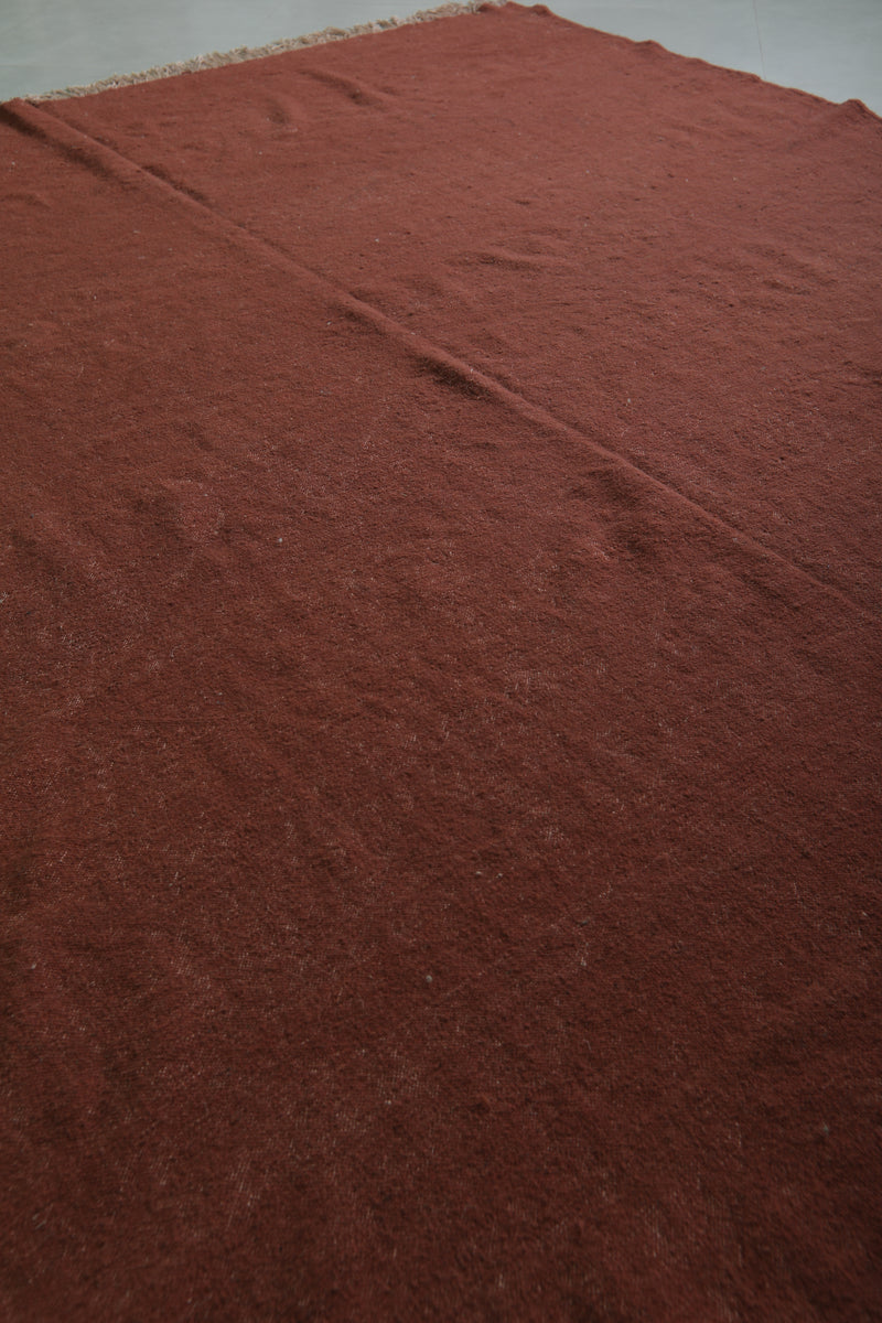 Moroccan Rug - 8 X 9 Feet | Rustic Handwoven Wool - Flat woven rugs