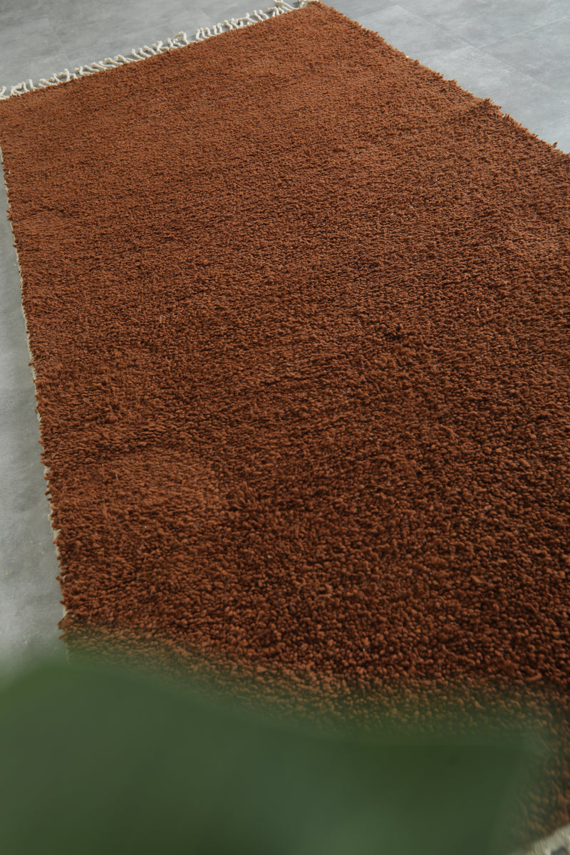 Handwoven Moroccan Rug 4.4 FT X 9.8 FT