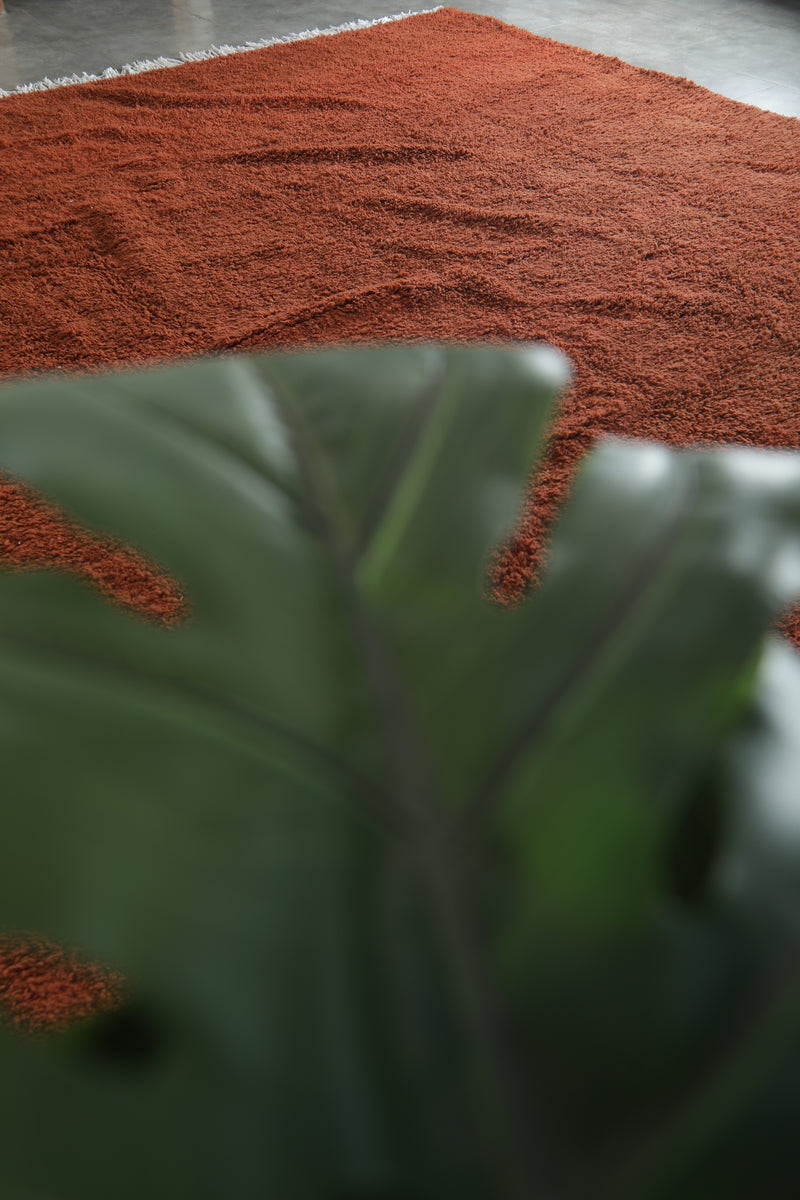 Minimalist Moroccan rug - Rust orange wool - 12 ft x 14.5 ft