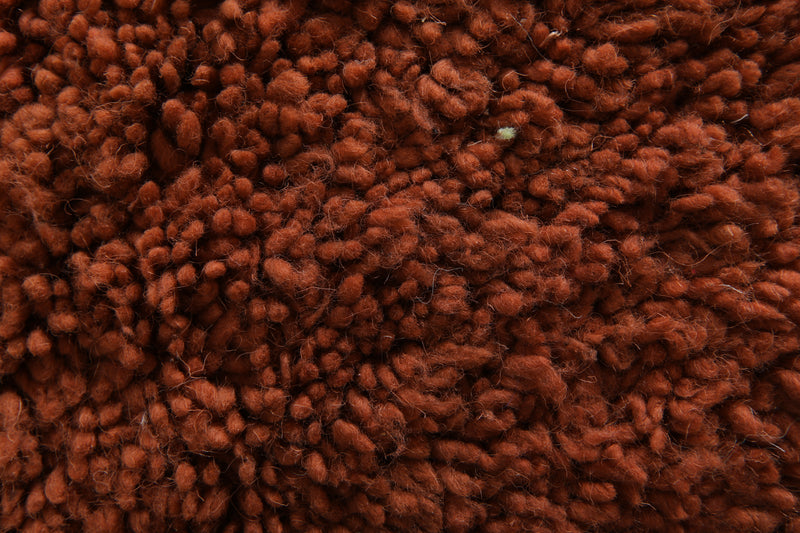 Minimalist Moroccan rug - Rust orange wool - 12 ft x 14.5 ft