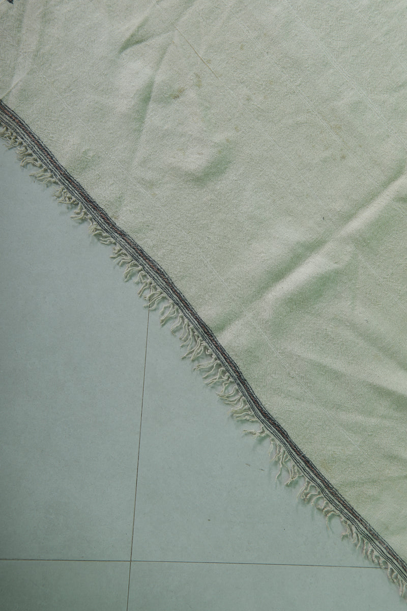 Elegant White Moroccan Runner Rug 3.7 x 11.5 FT - Minimalist Style - moroccan rug