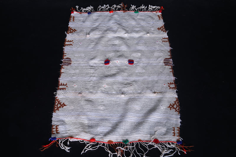 Moroccan Handwoven Berber Kilim - Artisan Craft 1.9x3 FT - Handwoven Kilim