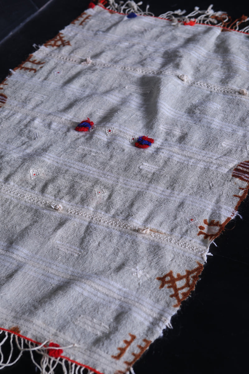 Moroccan Handwoven Berber Kilim - Artisan Craft 1.9x3 FT - Handwoven Kilim