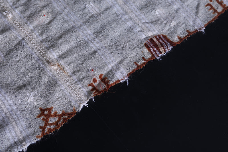 Moroccan Handwoven Berber Kilim - Artisan Craft 1.9x3 FT - Handwoven Kilim