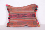 Brown Pillow 16.5 INCHES X 20.4 INCHES
