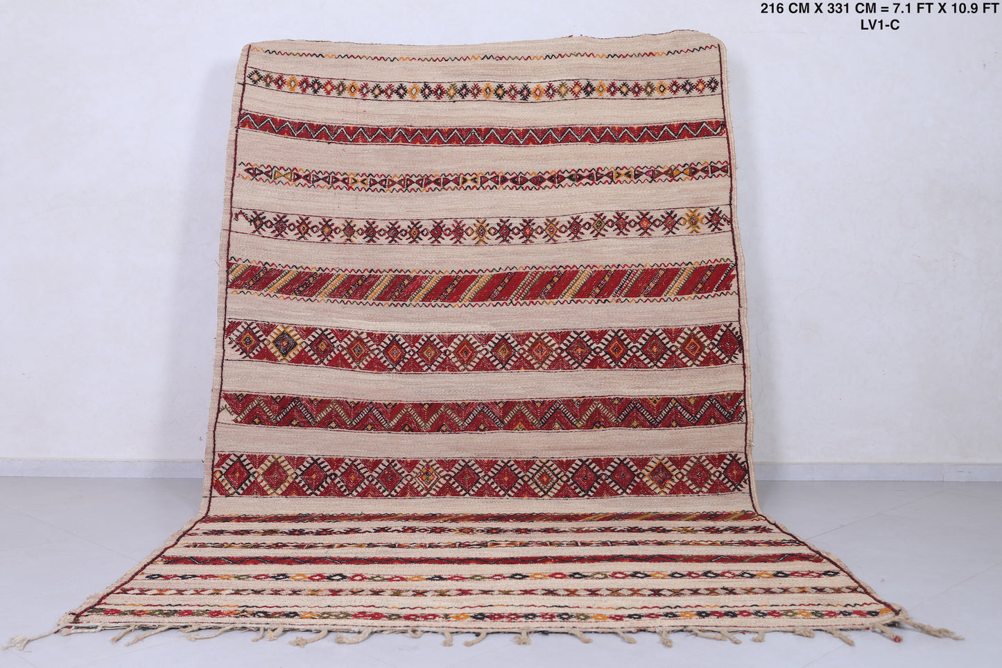 Vintage moroccan handmade berber hassira 7.1 FT X 10.9 FT